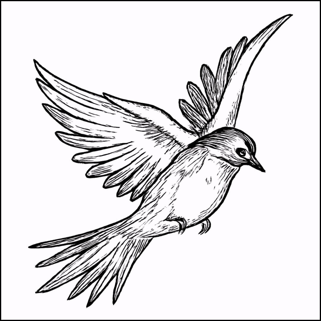 Flight Taker Membership