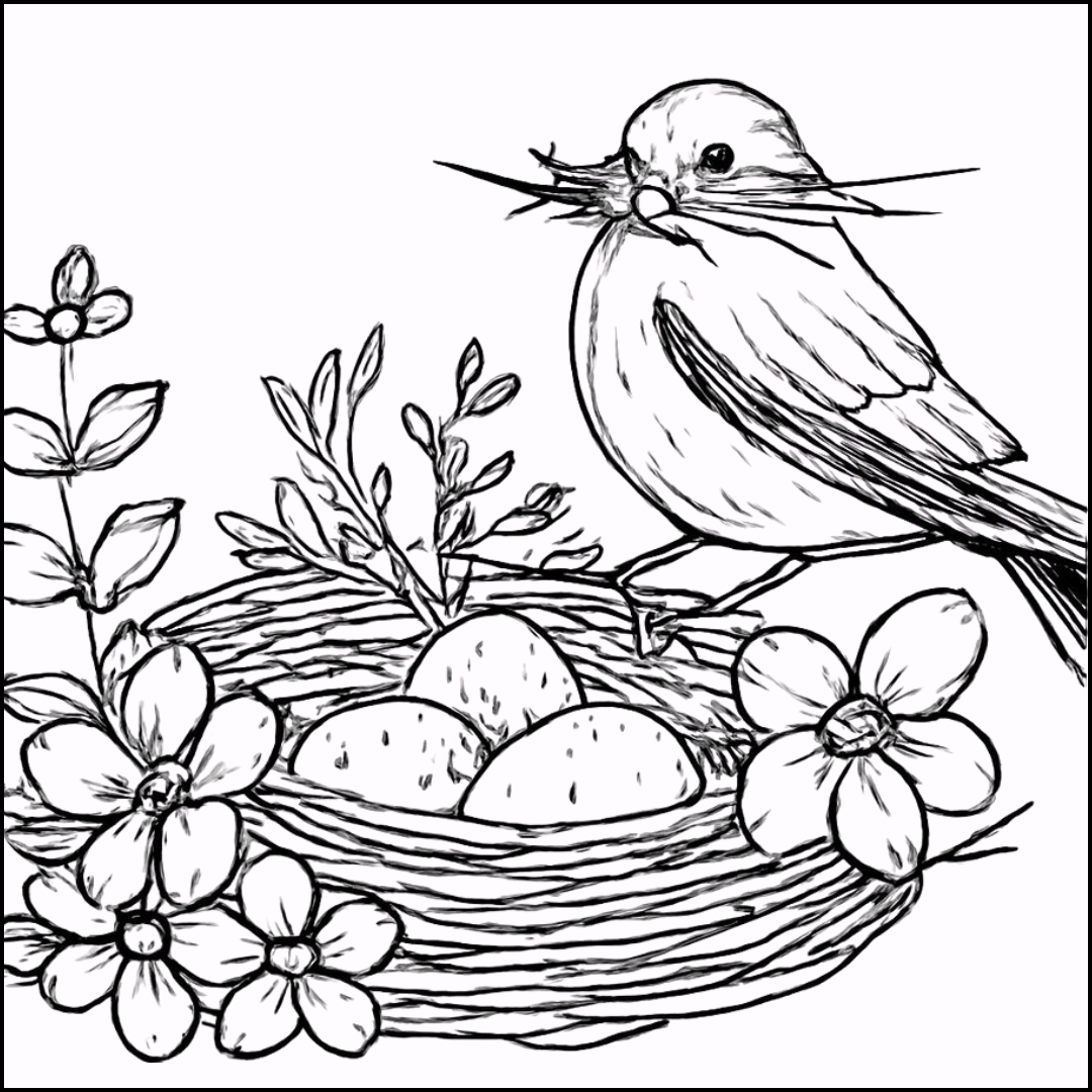 Nest Builder Membership