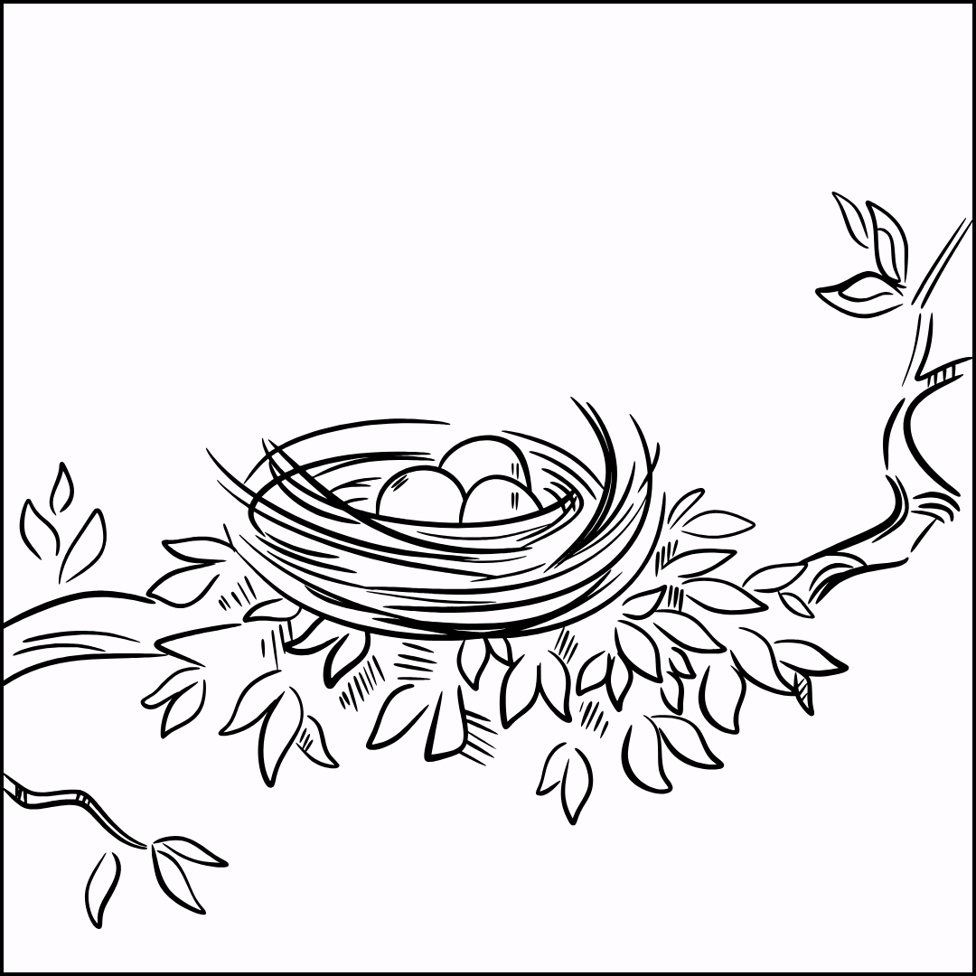 Hatchling Membership