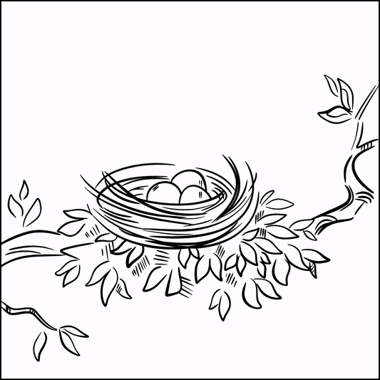 Hatchling Membership