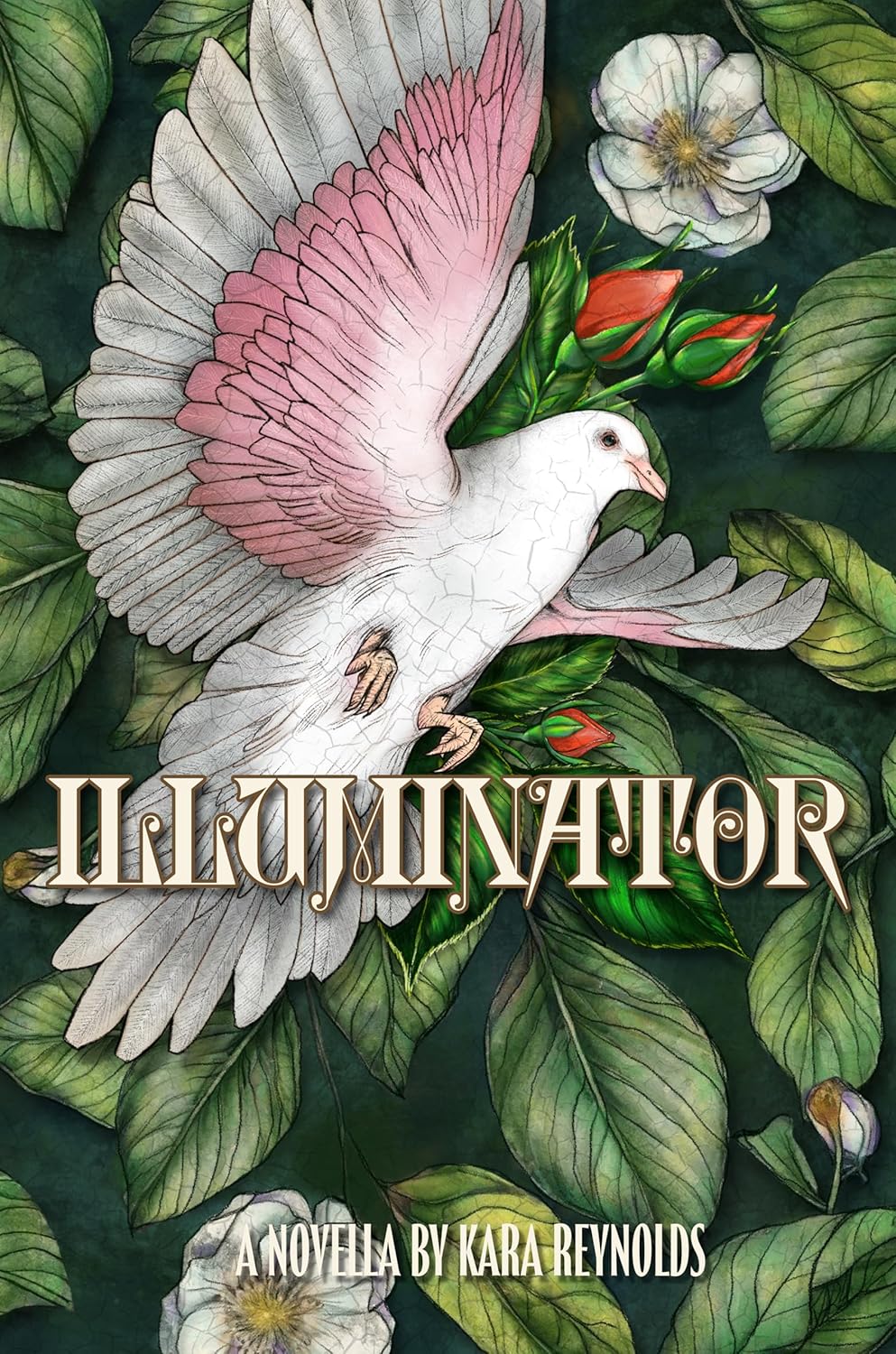 Illuminator (Signed Copy)